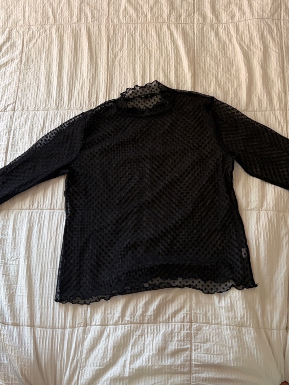 Black Sheer Knit